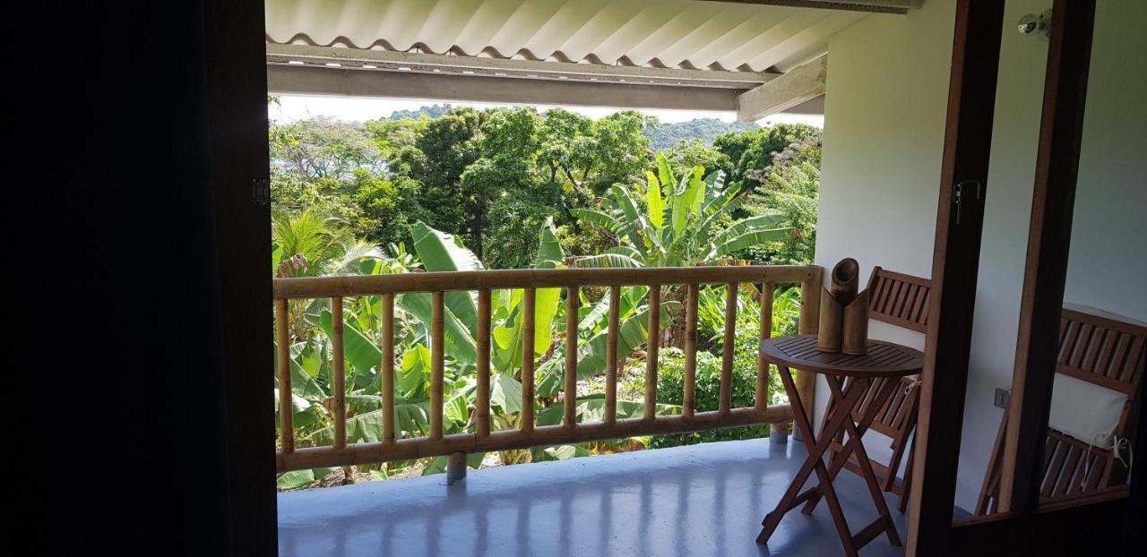 Vista Caribe Hotel Portobelo Ngoại thất bức ảnh