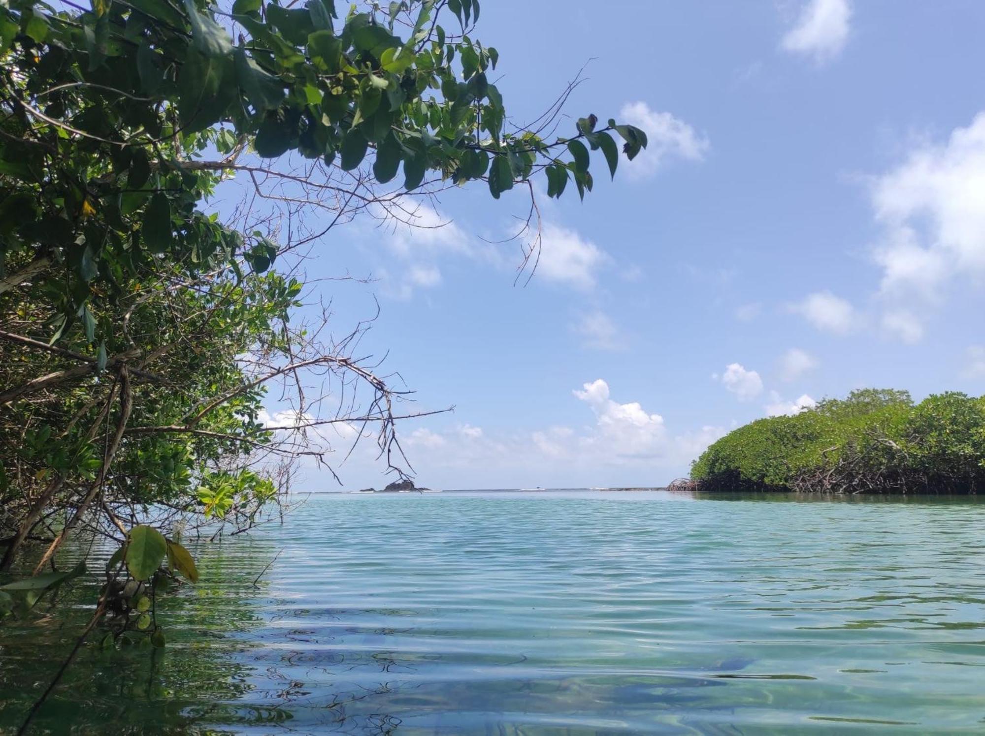 Vista Caribe Hotel Portobelo Ngoại thất bức ảnh